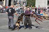 ARRESTATION POLICE 012